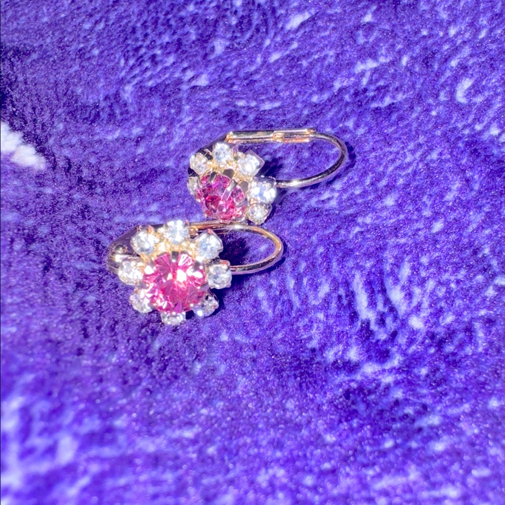 Elegant 18k Gold Filled Pink Floral leverback French Earrings